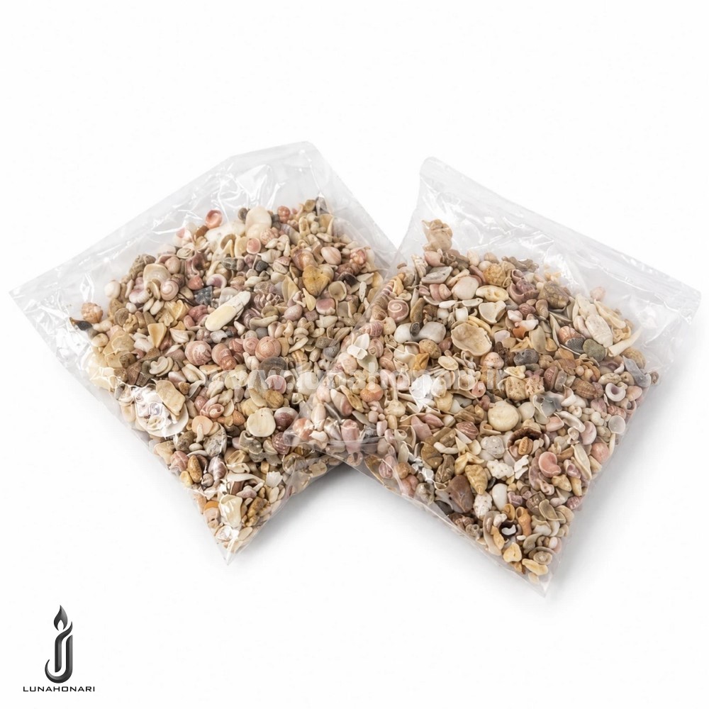 صدف چشم بلبلی
