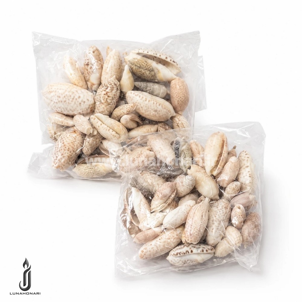 صدف بادومی